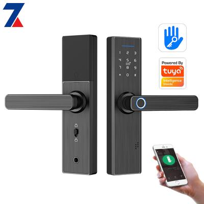 China Home Remote Control Smart Electronic Front Door Locks High Security Online For Lock for sale