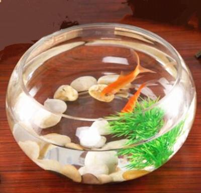 China Wholesale new design oval clear glass aquarium from Europe and cheap price for sale