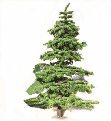 China No harm human and environment wholesale new design and high quality artificial pine needle christmas tree for decorations for sale