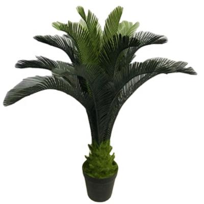 China Minimalist Wholesale New Design Cycad / Artificial Potted Cycas Tree For Decorations With Competitive Price for sale