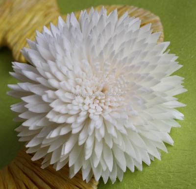 China Dia.9.0cm Viable Fashion Design With High Quality Wholesale Artificial Sola Flower For Aroma Diffuser for sale