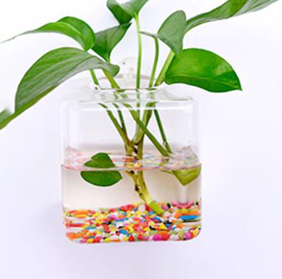 China Europe cheap and high quality wholesale hand blown glass cube wall aquatic plant vase for sale