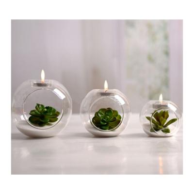 China All New Design Wholesale Ball Shaped Clear Glass Microlandschaft Vase Candle Holder With Competitive Price for sale