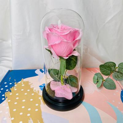 China Wholesale Flower Head Eternal Rose In Light Glass Dome Preserved Rose Perfect Birthday Valentines Day High Quality Gifts for sale