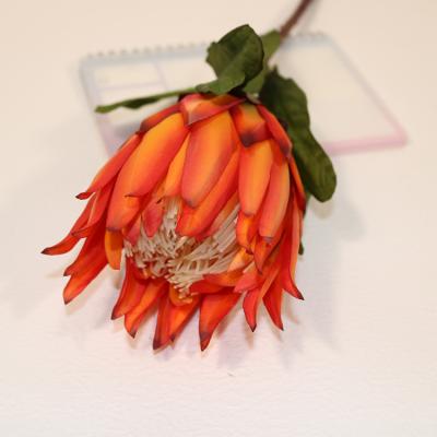 China Home Decoration Flower Europe Light Protea Cynaroides Cynaroides King Protea Flower Emperor Simulation Dried Luxury Artificial Flower For Decoration for sale