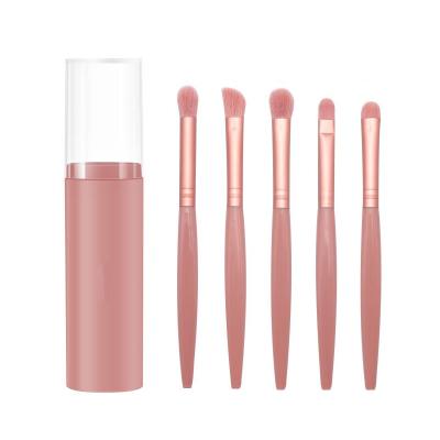 China Wholesale Multi Function Synthetic Fiber Hair 5 Pcs Light Eye Makeup Brush Skin-friendly With Plastic Brush Jar for sale