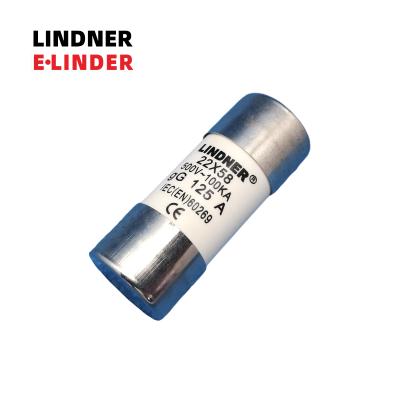 China LINDNER Cylindrical Class 500V gG Link 22*58mm LOW VOLTAGE Fuse AC 10A-100A Low Voltage for sale