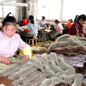 Verified China supplier - Nangong Gaoding Fur Products Co., Ltd.