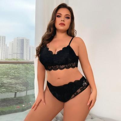 China New Products Erotic Lace Plus Size Sexy Black Women Model Lingerie With Custom Size And Color for sale