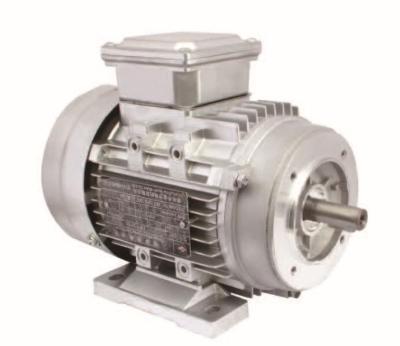 China YS Series 71 Totally Enclosed Frame MS Three Phase Motor for sale