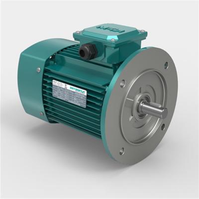 China Totally enclosed supply three pahse company motor Nanfang electric motors for sale