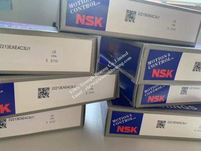 China NSK Spherical Roller Bearing  22213EAE4C3U1 ,  22213E for sale