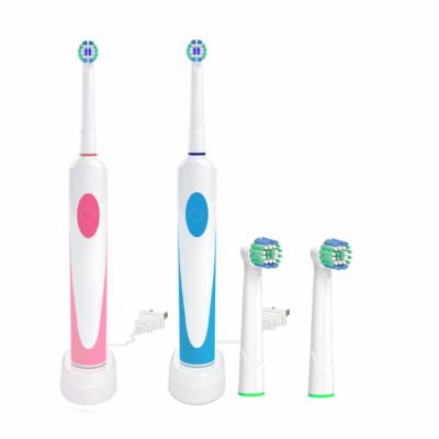 China Oral 2D Heads Oral Free Rotating Vibration Care 2 Brush Gift Deep Cleaning Clean Electric Toothbrush IPX7 For Travel And Home Use for sale