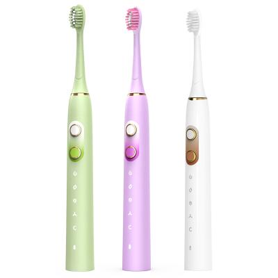 China Inductive Charging & Wholesale USBcharging Adults Travel Electric Toothbrush Replacement Inductive Charging Two Heads Sonic Toothbrush for sale