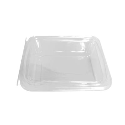 China Eco Friendly Disposable Clear PET Storage Boxes Plastic Food Container for sale