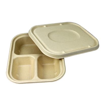 China Biodegradable Disposable Compostable Food Sugarcane Bagasse Food Packaging Lunch Box for sale