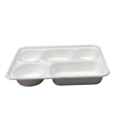 China Eco-Friendly Biodegradable Disposable Food Sugarcane Pulp Packaging Food Takeaway Lunch Box for sale