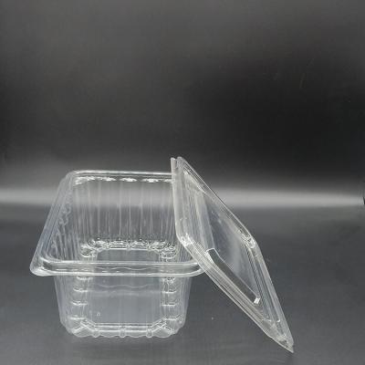 China Disposable Disposable Food Container Plastic Packaging Box Cake Bread Transparent Storage Box for sale