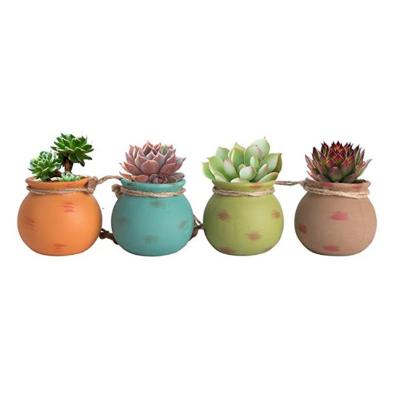 China Modern Hanging Succulent Planters Dangling Ceramic Flower Pots Planter For Wall Decoration for sale