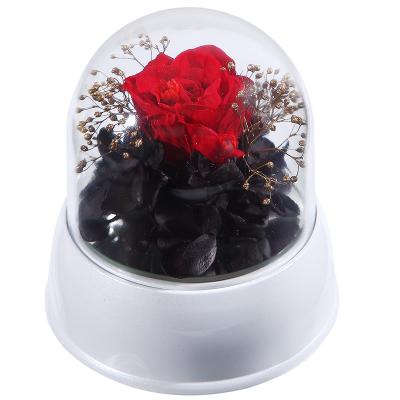 China decorative flowers & Romantic Garlands Music Box with Enchanted Rose Dried Flower Best Gift for Her Birthday Valentine Anniversary Wedding for sale