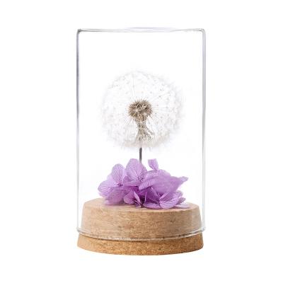 China decorative flowers & Garlands Dry Eternal Dandelion Flower Preserved Dandelion in Glass Dome for Birthday Anniversary Wedding for sale