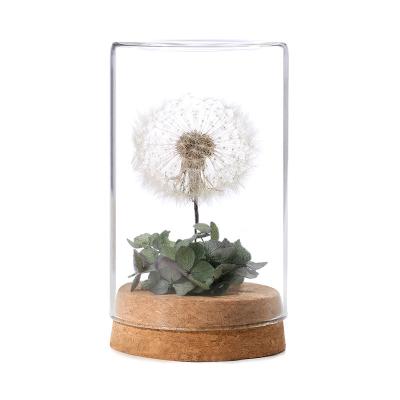 China decorative flowers & Dandelion Flower Garlands Eternal Fresh Green Artificial Dry Forever Preserved in Glass Dome for sale