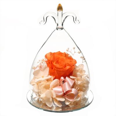 China decorative flowers & Eternal garlands Sagittarius infinity stabilized forever roses preserved in glass dome for valentines gift for sale