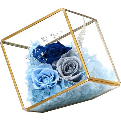 China decorative flowers & Garlands Eternity Roses Preserved Forever Fresh Flowers For Birthday Mothers Day Valentine's Day for sale