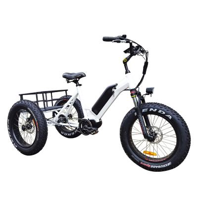 China Electric Delivery Bike E Bike Food Delivery Aluminum Alloy Bicycle Tricycles 3 Wheel Electric Bike for sale