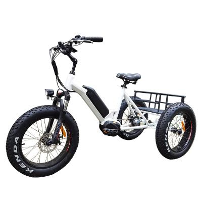 China Standard Motorized Tricycles Cargo Tricycles E Bike With Fast Delivery To Europe for sale