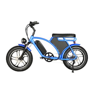 China Best Sales Standard Tire Wholesale Electric Bicycle OEM and ODM Bike with Pedal Assisted for sale