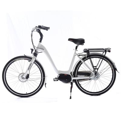 China Motor City Standard Best Selling Electric Bike Mid Drive Electric Bicycle Bafang Mid Drive for sale