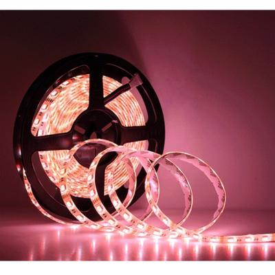 China warehouse led light strip rgb smd led 5050 4in1 warm white led strip rgb for sale