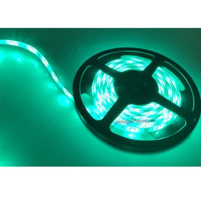 China warehouse smd 5050 rgbw led strip light 24V 84 leds per meter rgb and amber color could be available for sale