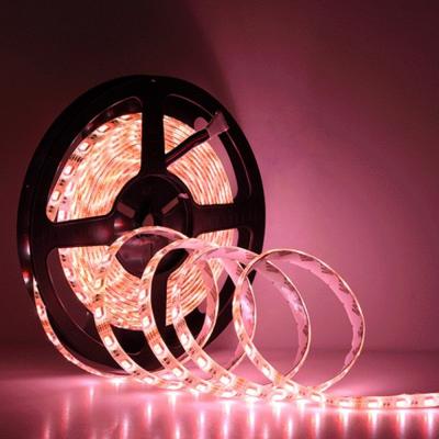 China Room lighting RGBW LED chip 4 in 1 led disco led strip light dc12 v 24v for sale