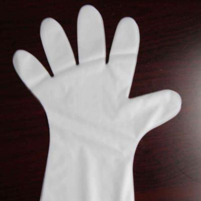 China Elastomer High Performance Plastic Food Band Clean Clear Gloves for sale