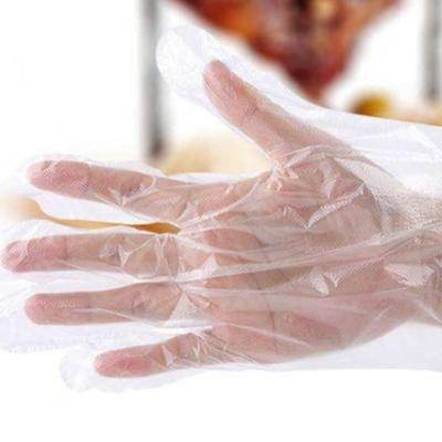 China High Stretch Price Good Quality Disposable Strip Gloves for sale