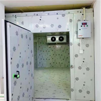 China Cheap Cold Room Storage Panels Vaporizer Unit Refrigeration Container Price Cold Room for sale