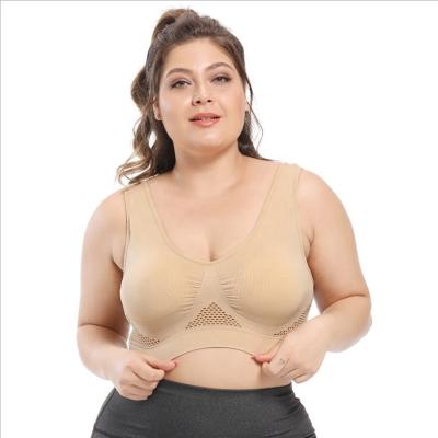 Chine Le yoga folâtre de grands sous-vêtements de dentelle de coton des soutiens-gorge 44C 44D 3XL 4XL de dames à vendre