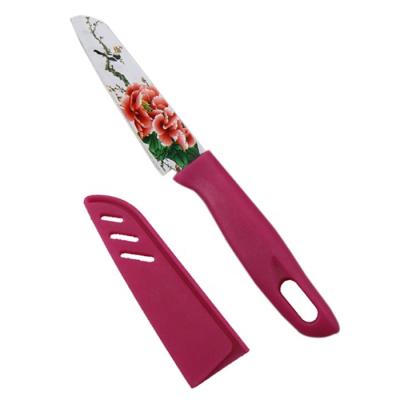 China Hot Selling Stainless Steel Kitchen Knife Handle Vegetable Colorful Paring Knife With Plastic Sheath/Cover Fruit Knife for sale