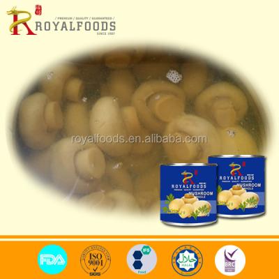 China PNS/Sliced/Whole Boxed Canned Mushroom for sale