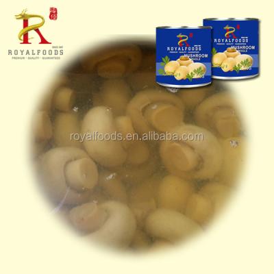 China Champignon canned in tin can of champignon mushroom for sale