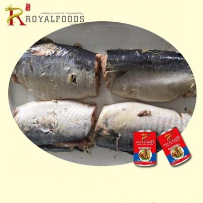 China Canned mackerel in brine for Sri Lanka for sale