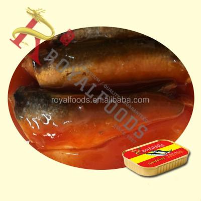 China Canned canned seafood canned sardine in hot tomato sauce from Morocco for sale