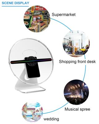 China 25cm Portable min led hologram fan table top 3d holographic advertising display for sale