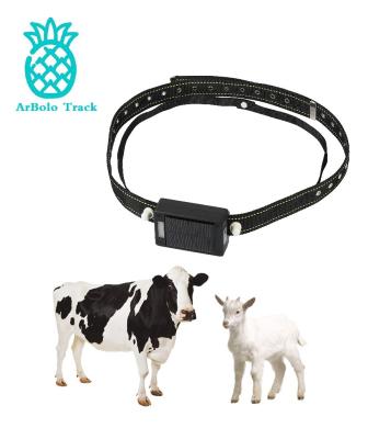 China Solar Powered Pets GPS Tracker 4G GPS Tracker For Animals Long Standby For Cattle Sheep Horses With Geo Fence Fast Delivery In Stock White Label Te koop