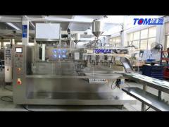 High Spped Precision Fully Automatic PLC Controlled Horizontal Bag Packing Machine