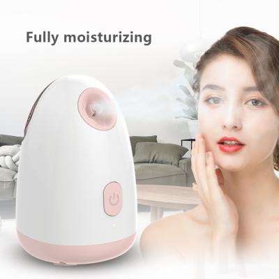 China Custom Facial Ionic Portable Home Spa Moisturizer Multi Function Facial Flame Humidifier Deep Cleansing Facial Steamer for sale