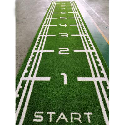 China Durable Long Use Grass Mat Gymnasium Color Indoor Artificial Carpet Sled Synthetic Turf Flooring for sale