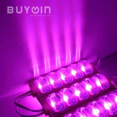 China For shop bars led outdoor sign caravan lighting led light fixtures SMD2835 12V led module for shop bars led sign caravan outdoor red blue yellow pink led lighting modul 12v for sale